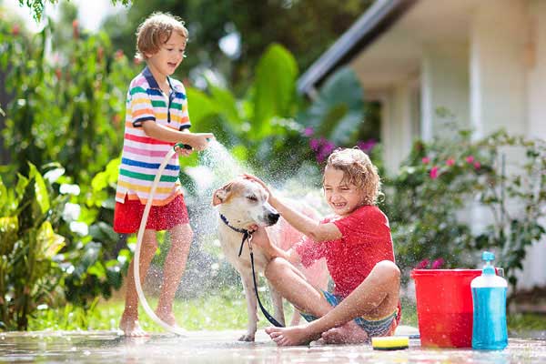 Boy and girl using hose to give dog a bath outside