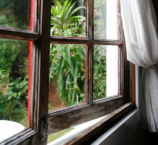 Window in home with a view of woods